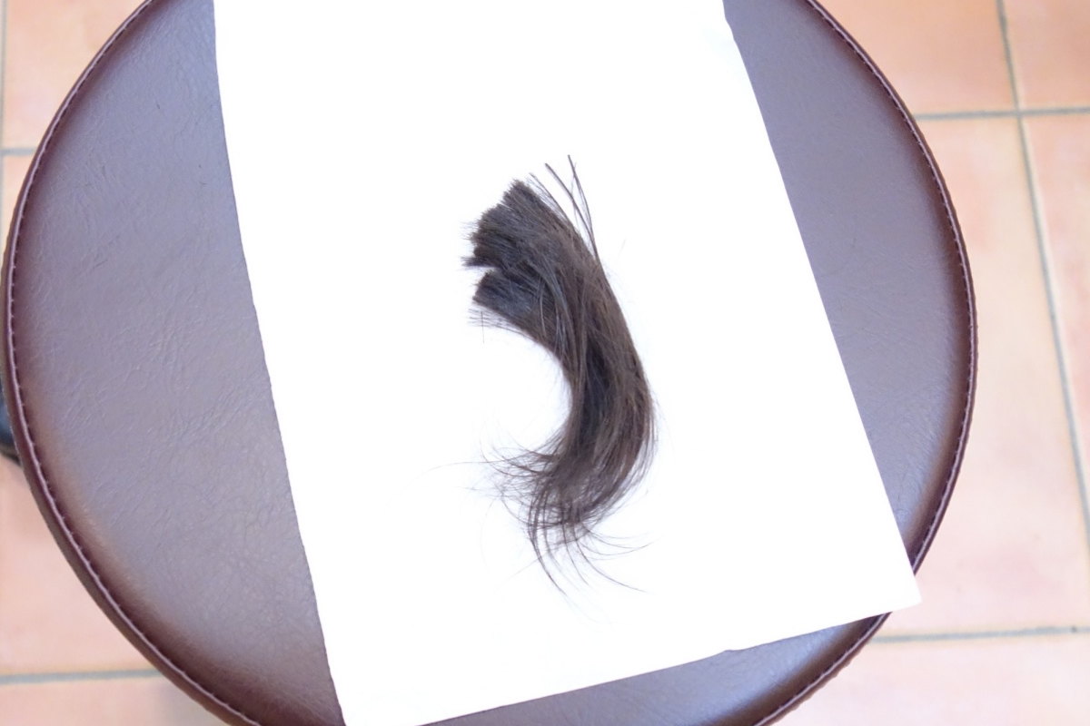 プロ直伝！自宅でも失敗しない赤ちゃん筆用ヘアカット方法：切った髪の毛を集めてまとめる