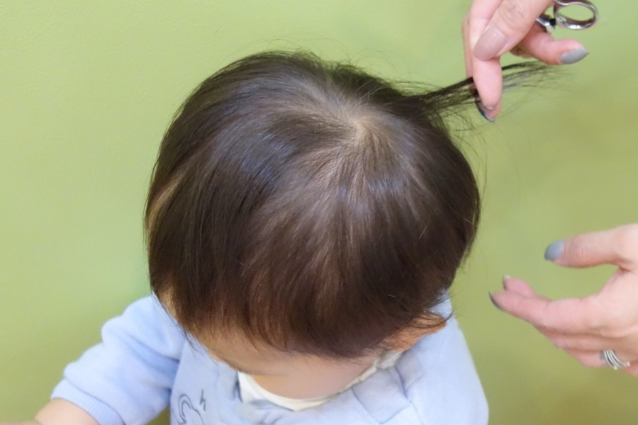 プロ直伝！自宅でも失敗しない赤ちゃん筆用ヘアカット方法：髪の毛を揃えながら切る部分を決める